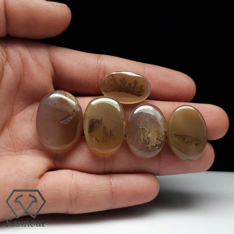 خمس قطع عقيق شجري اصفر